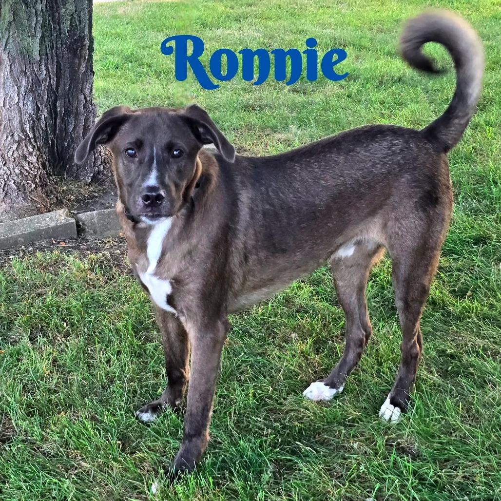 Ronnie