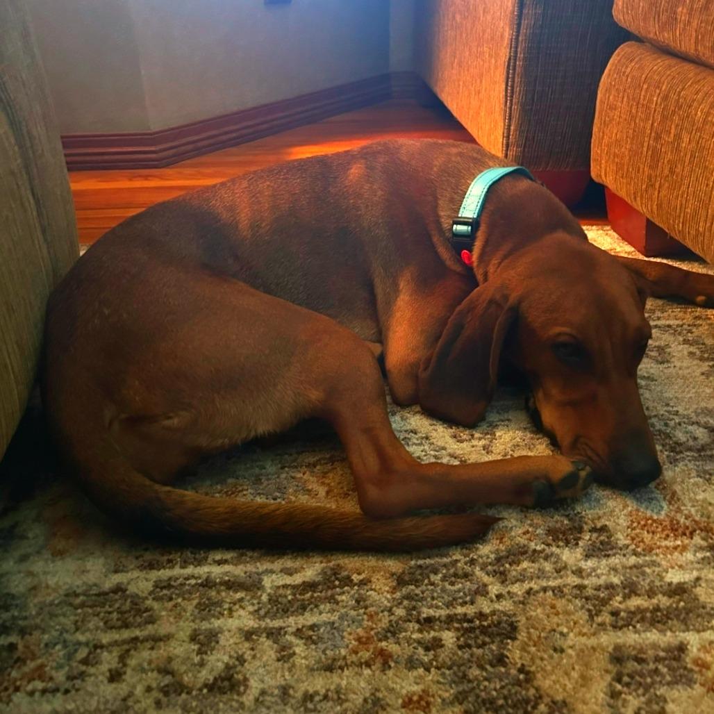 Ruby