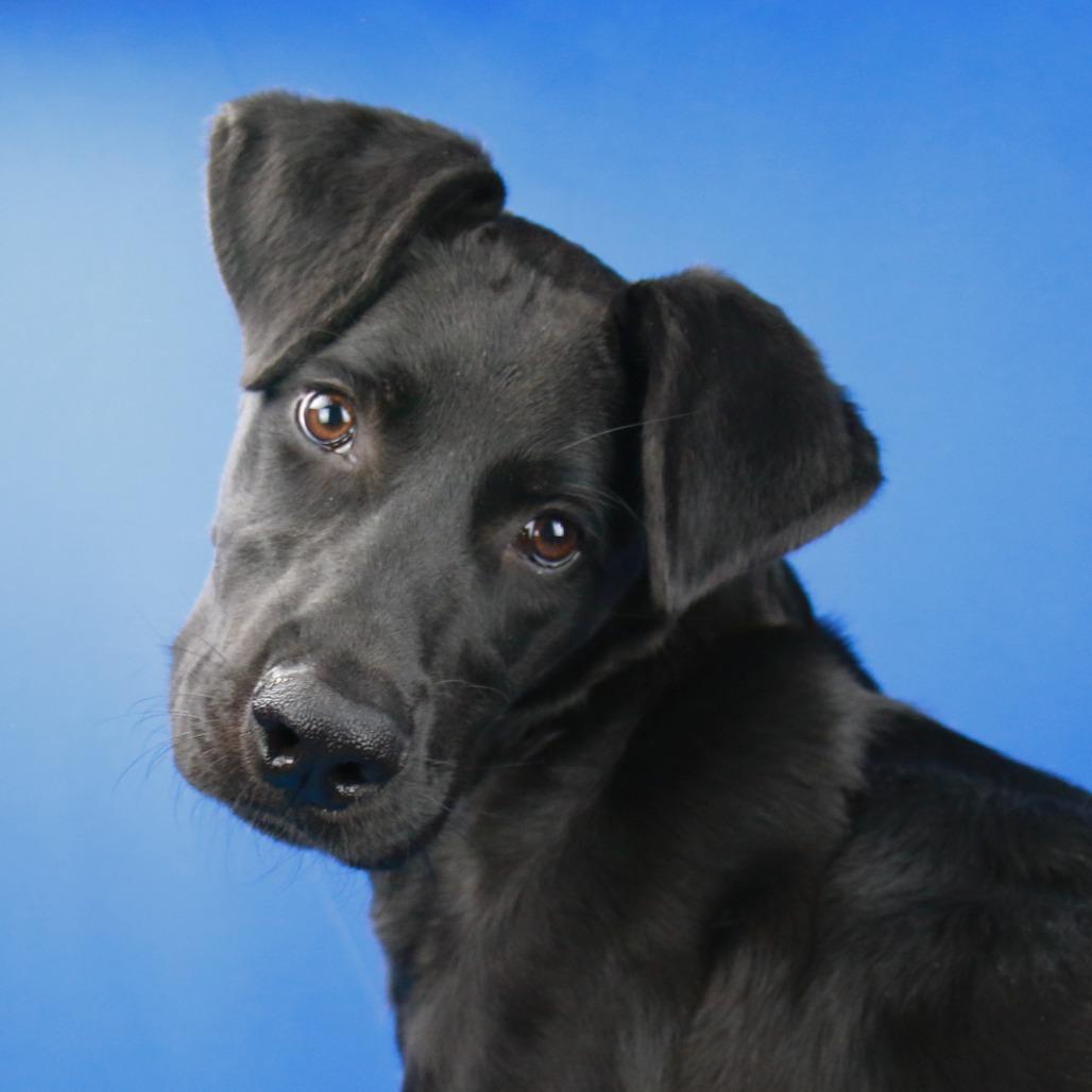 Hallie- 052715T