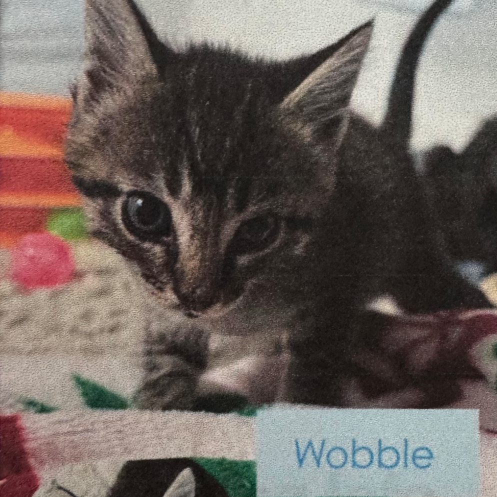 Wobble