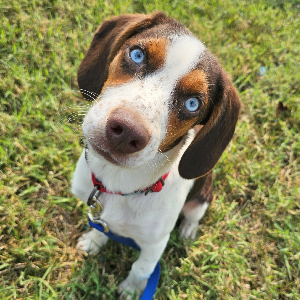 Appt Pending - Ernie