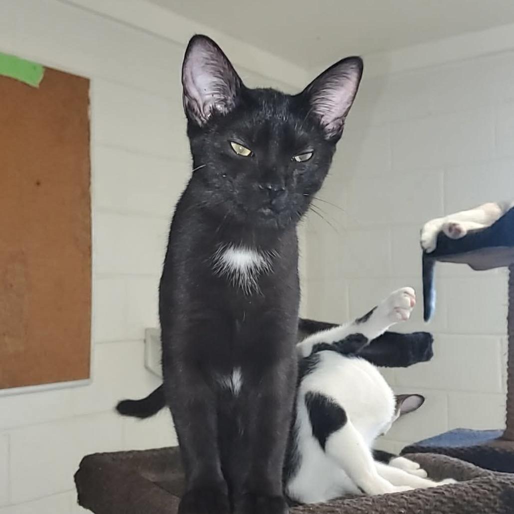 Luna