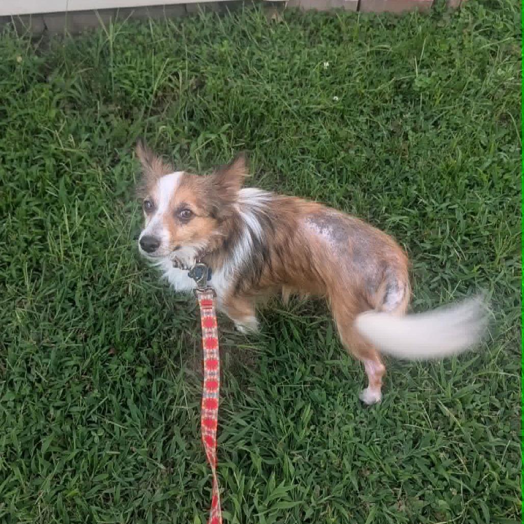 Charlie