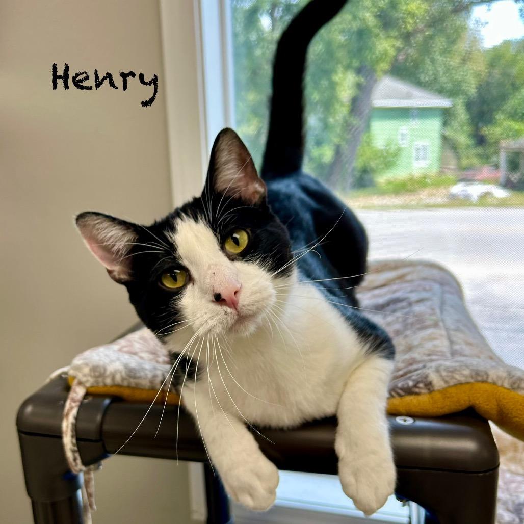 Henry