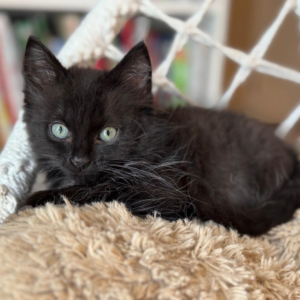 Etta