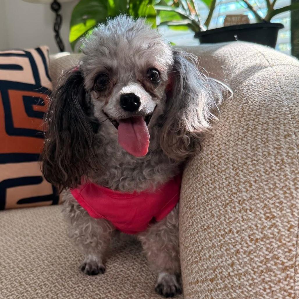 Mable