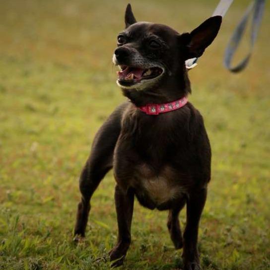 Coco