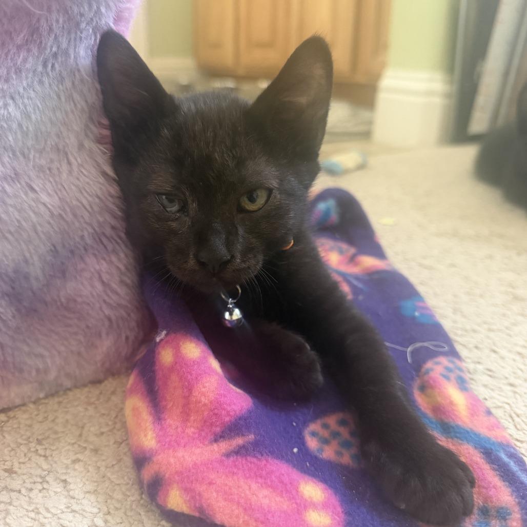 Salem