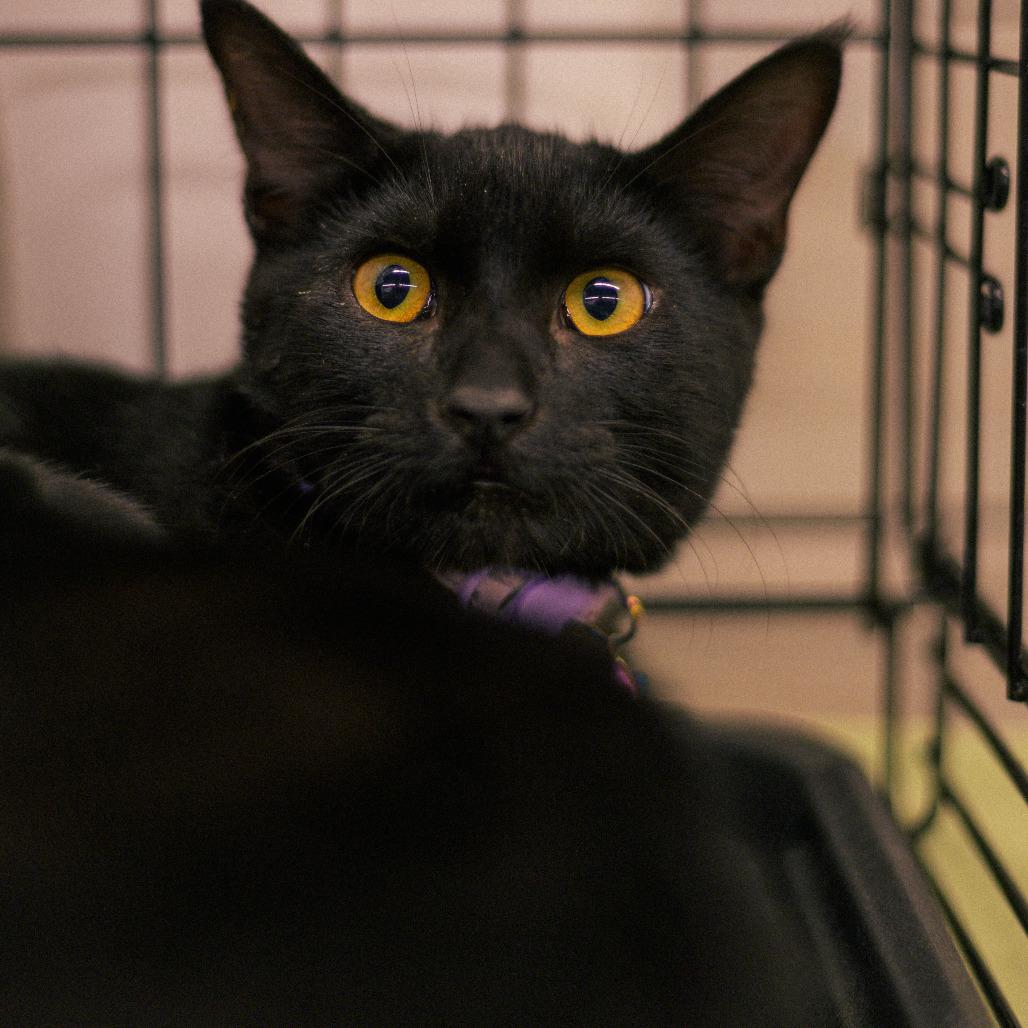 Binx