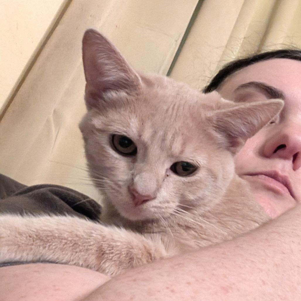 Jellybean (READ!)