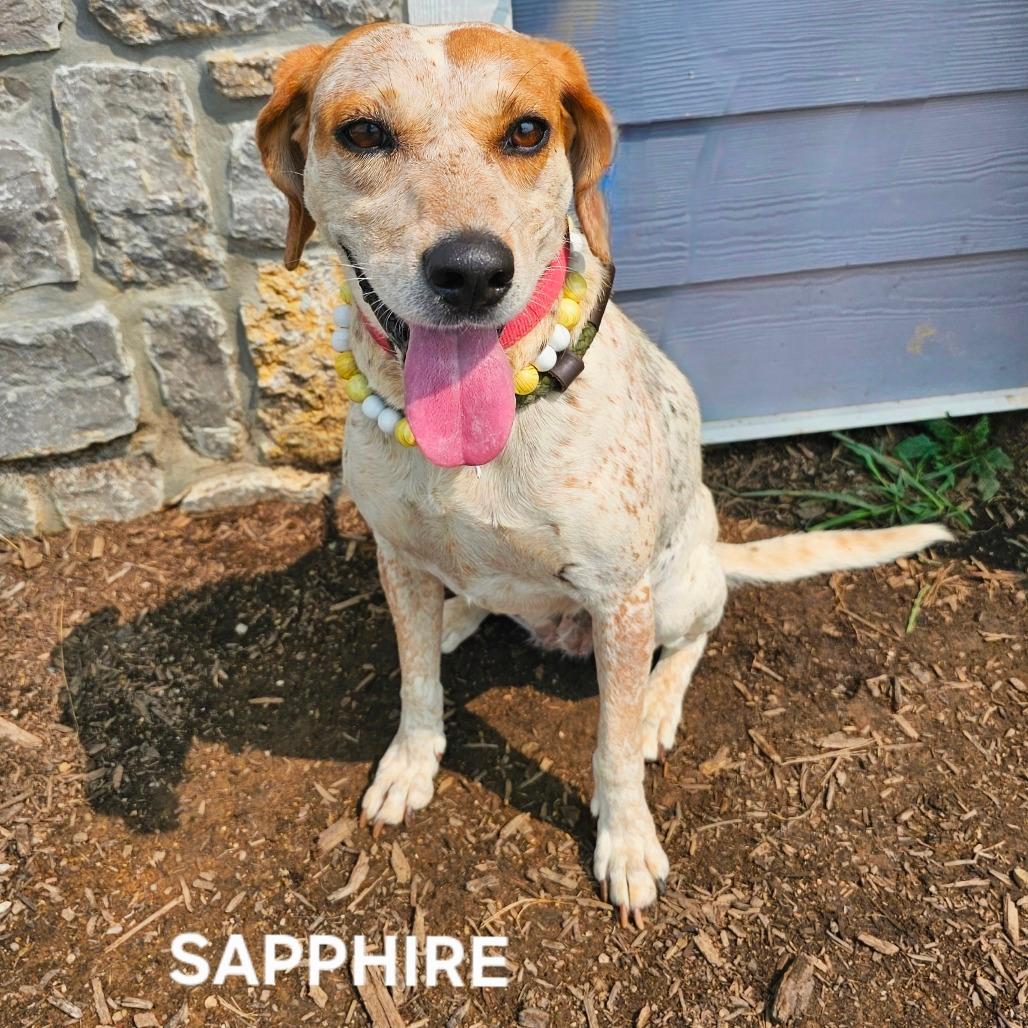 Sapphire