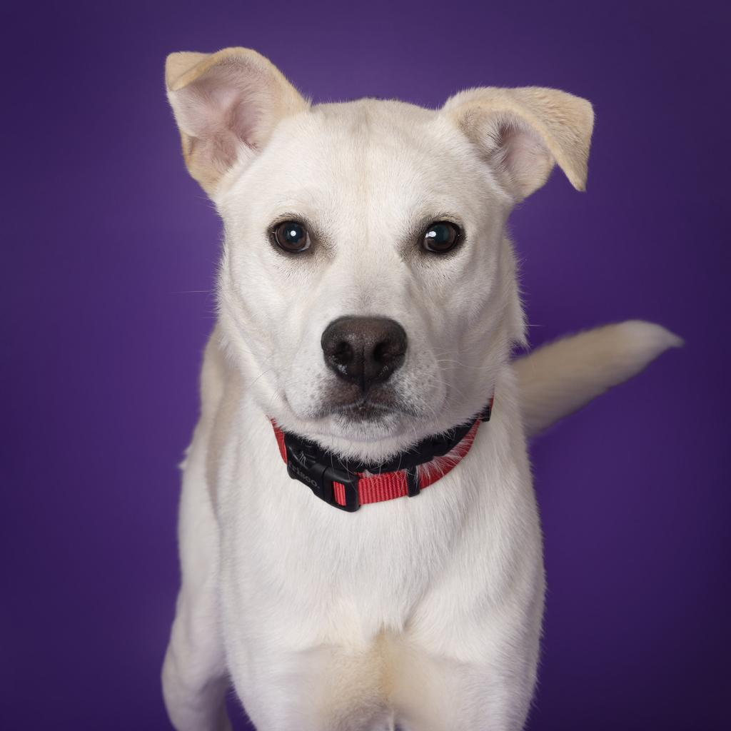 Kenai