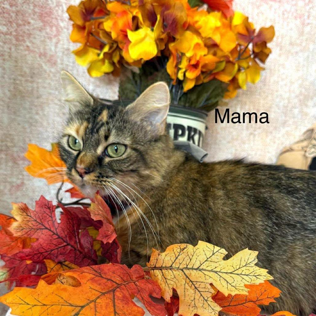 Mama 