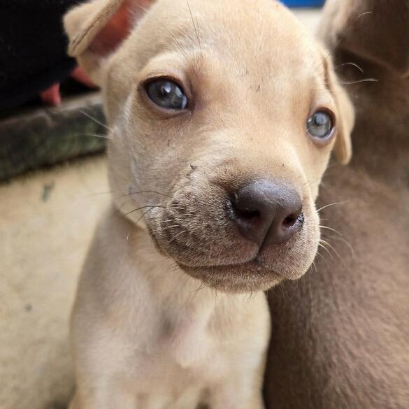 Wrinkles