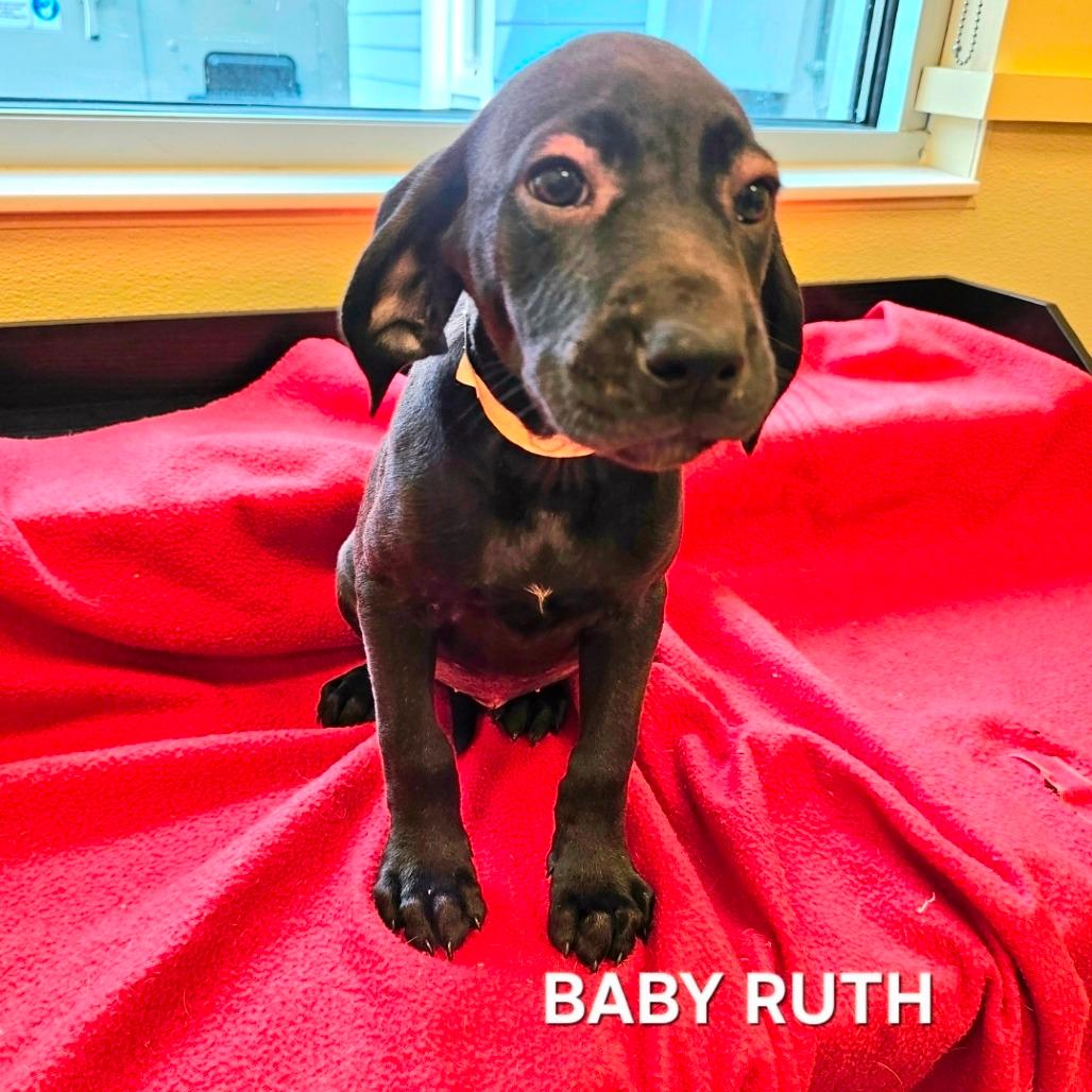 Baby Ruth