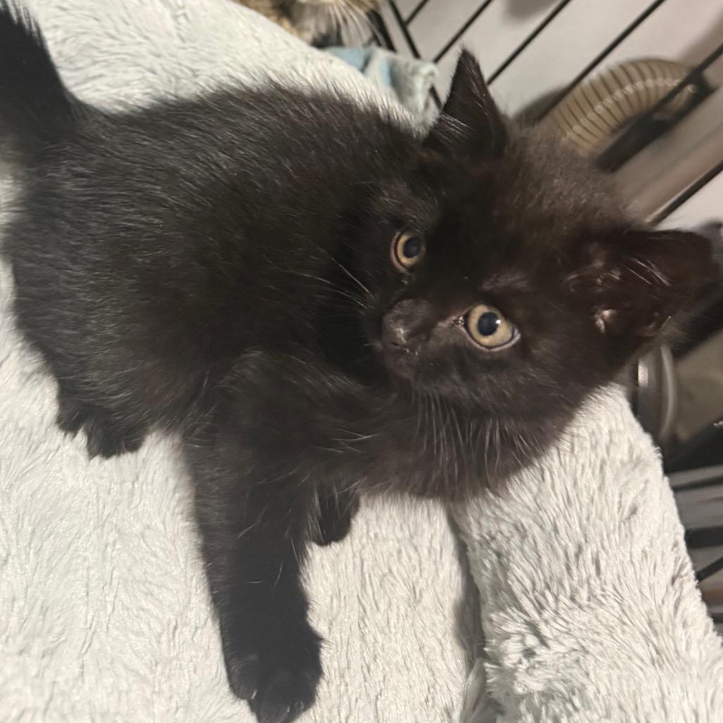 Karma