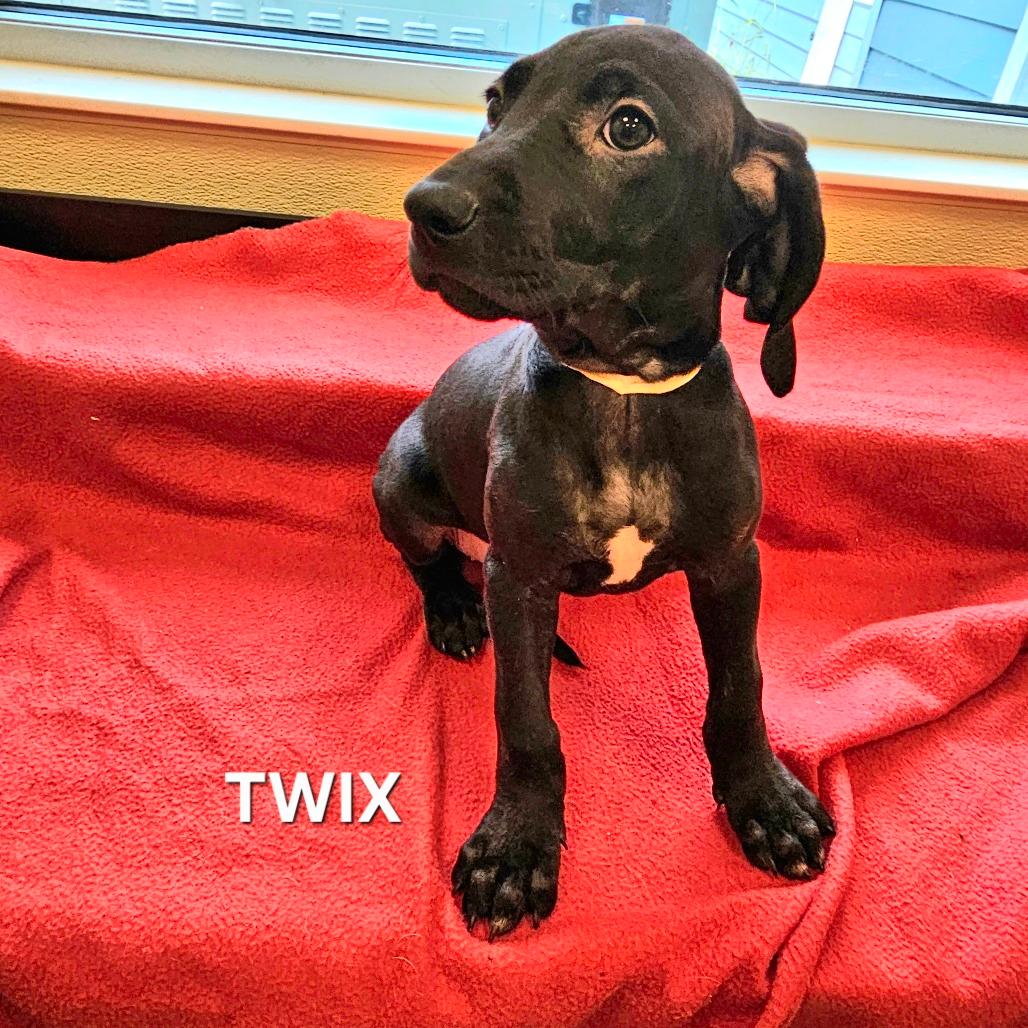 Twix