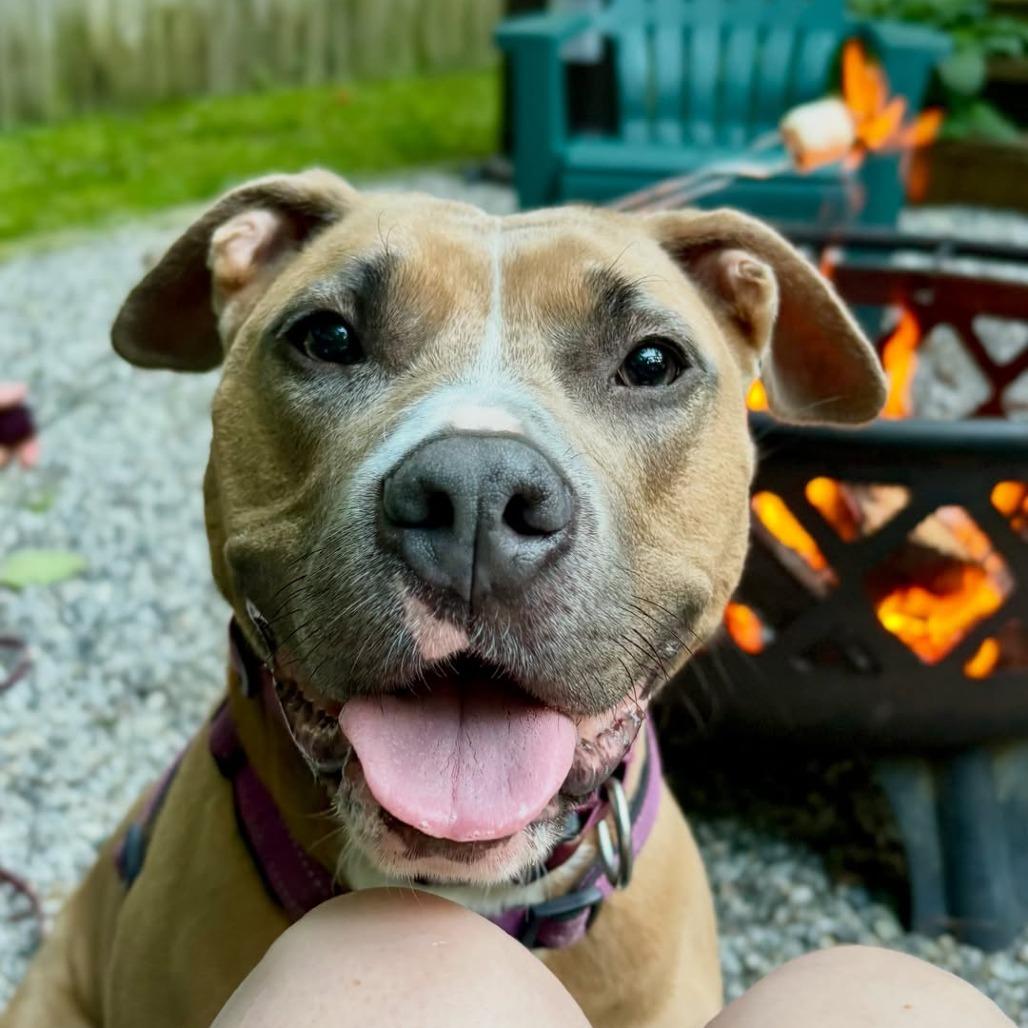 Molly