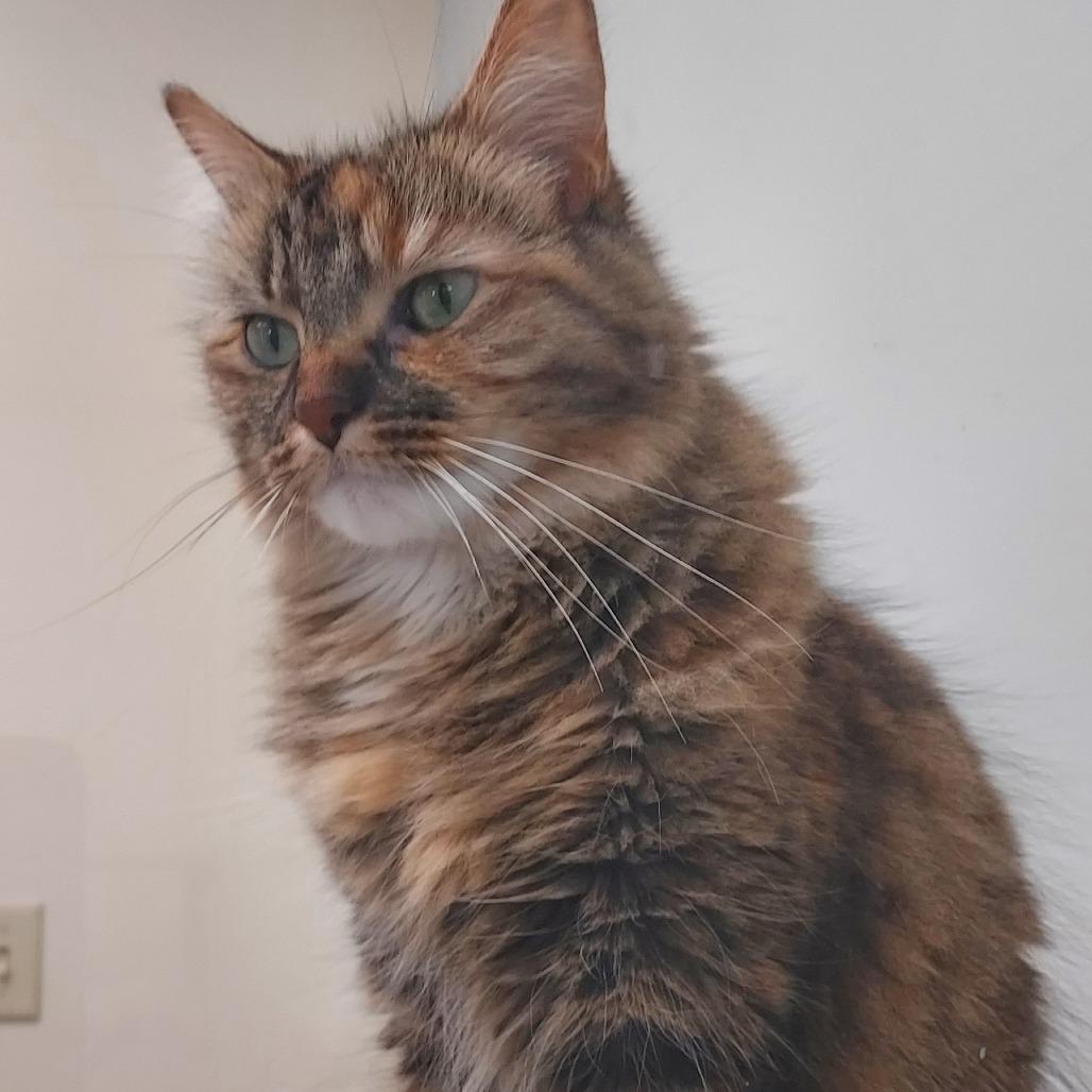 Cleo