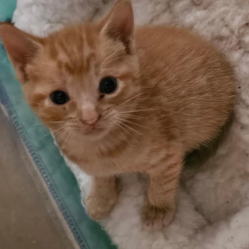 Baby #3