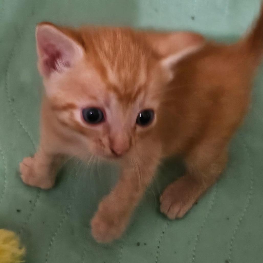 Baby #2