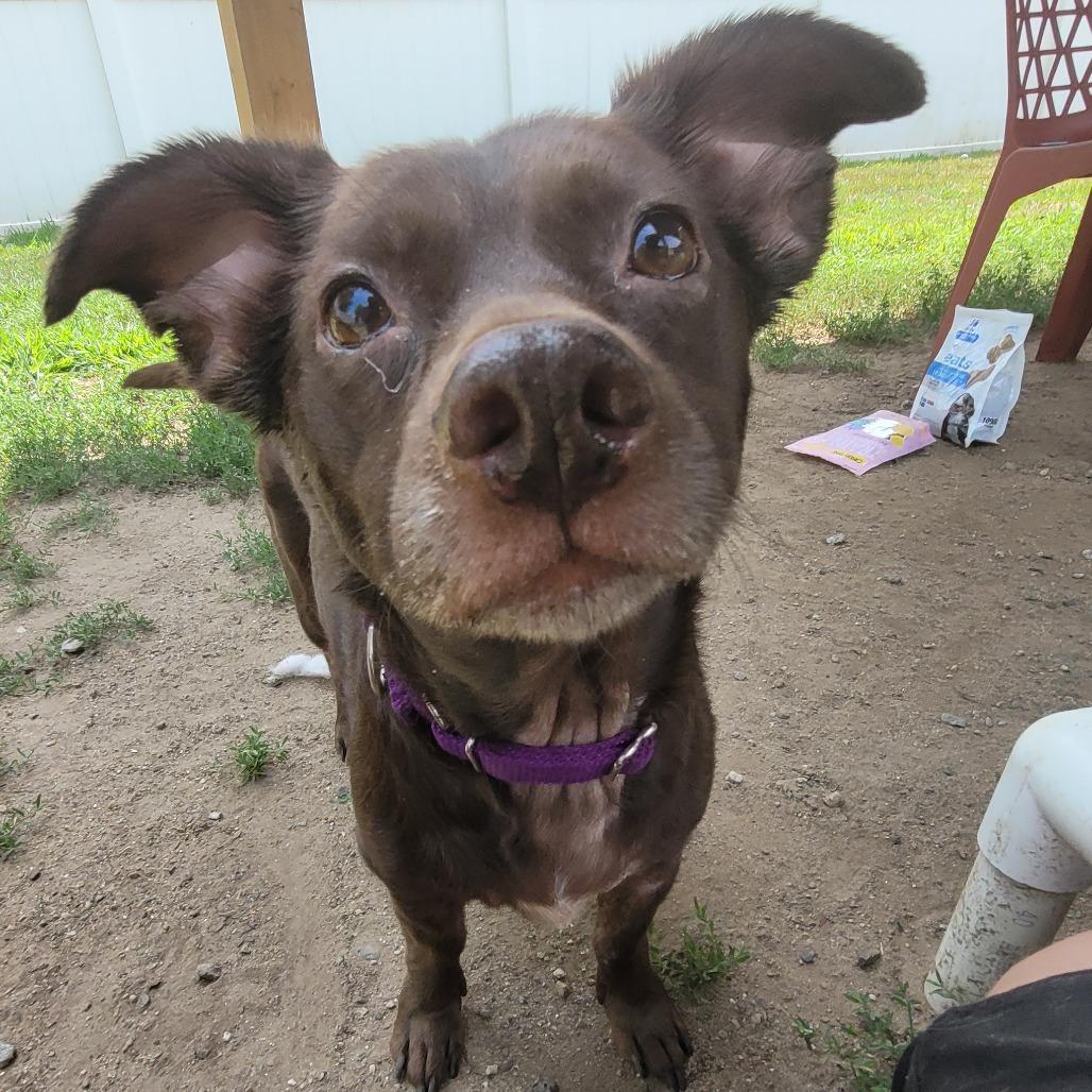 Maggie
