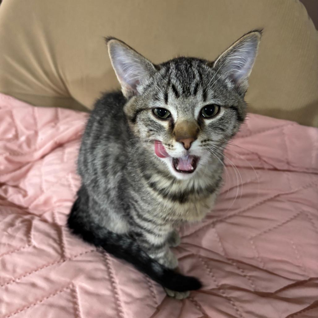 Eloise *Meet me at Eagan Petsmart*