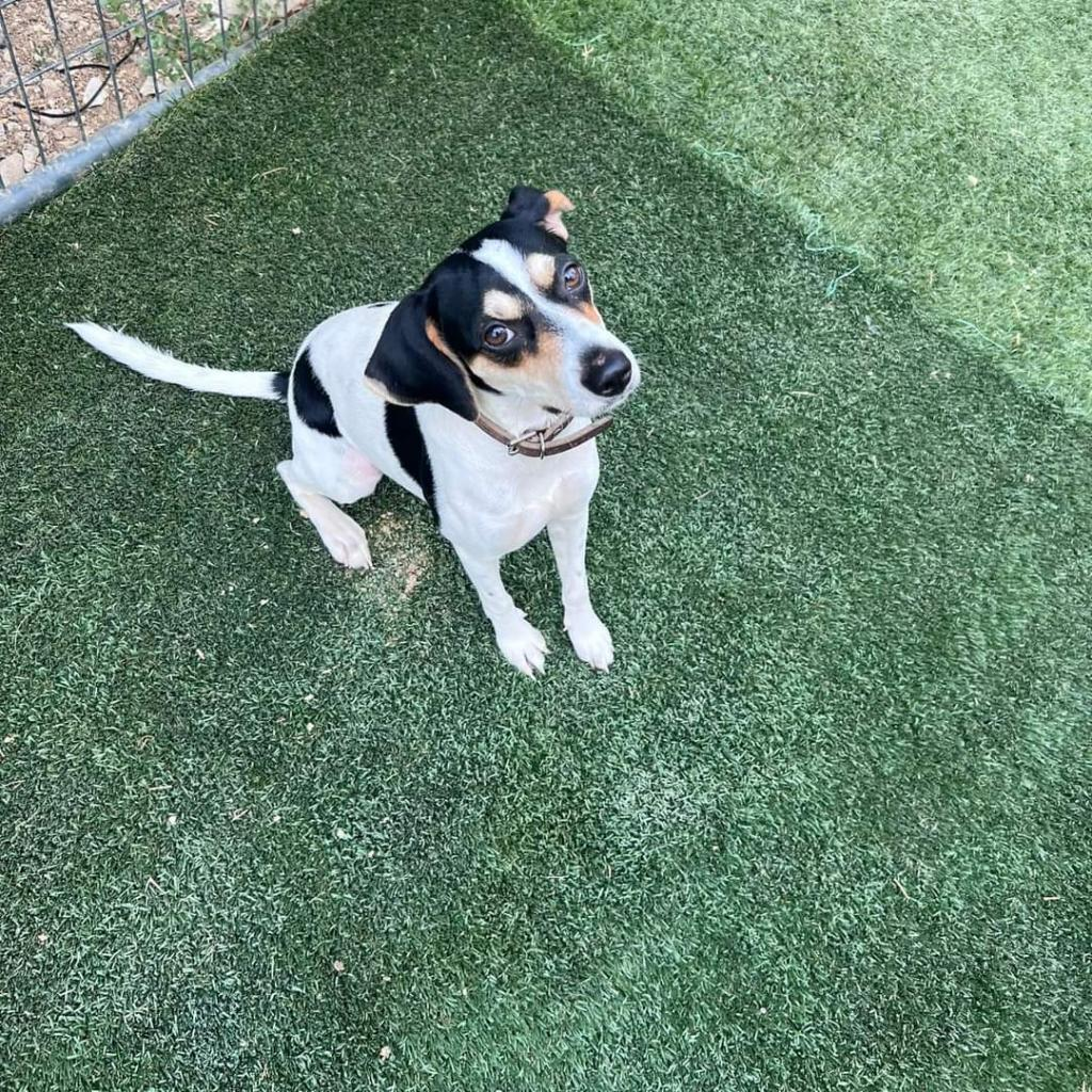 Mitzi
