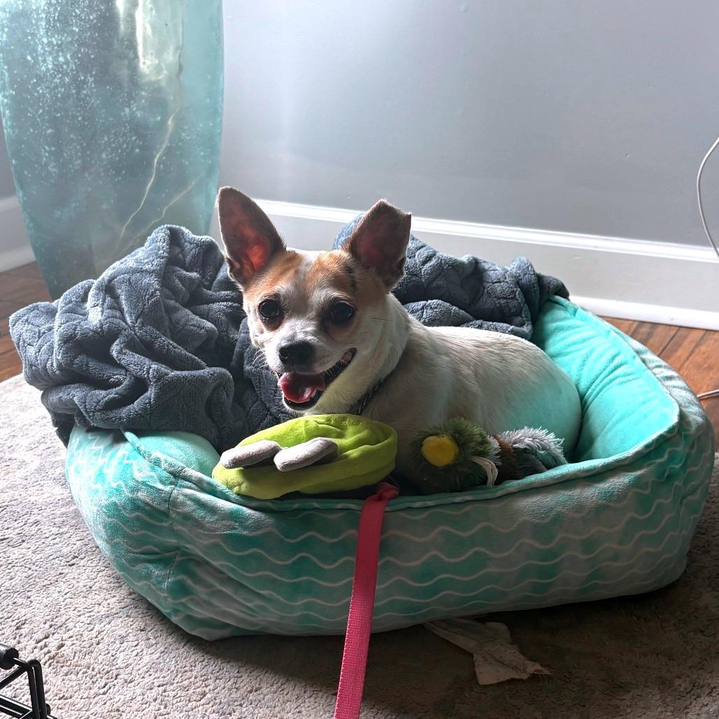 Eggsy (In Foster)