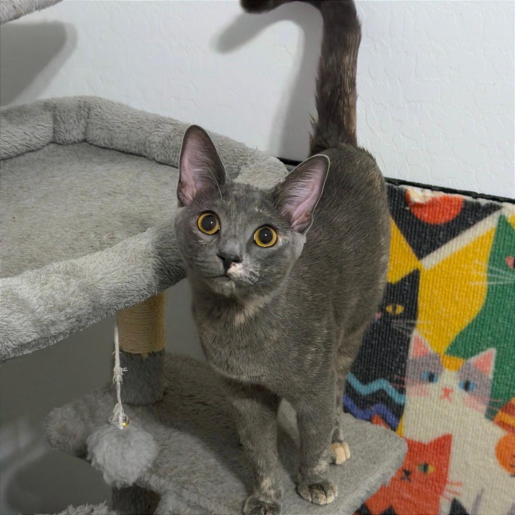 Nadja