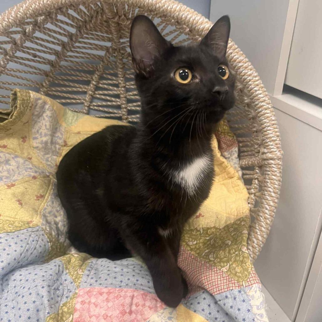 Salem