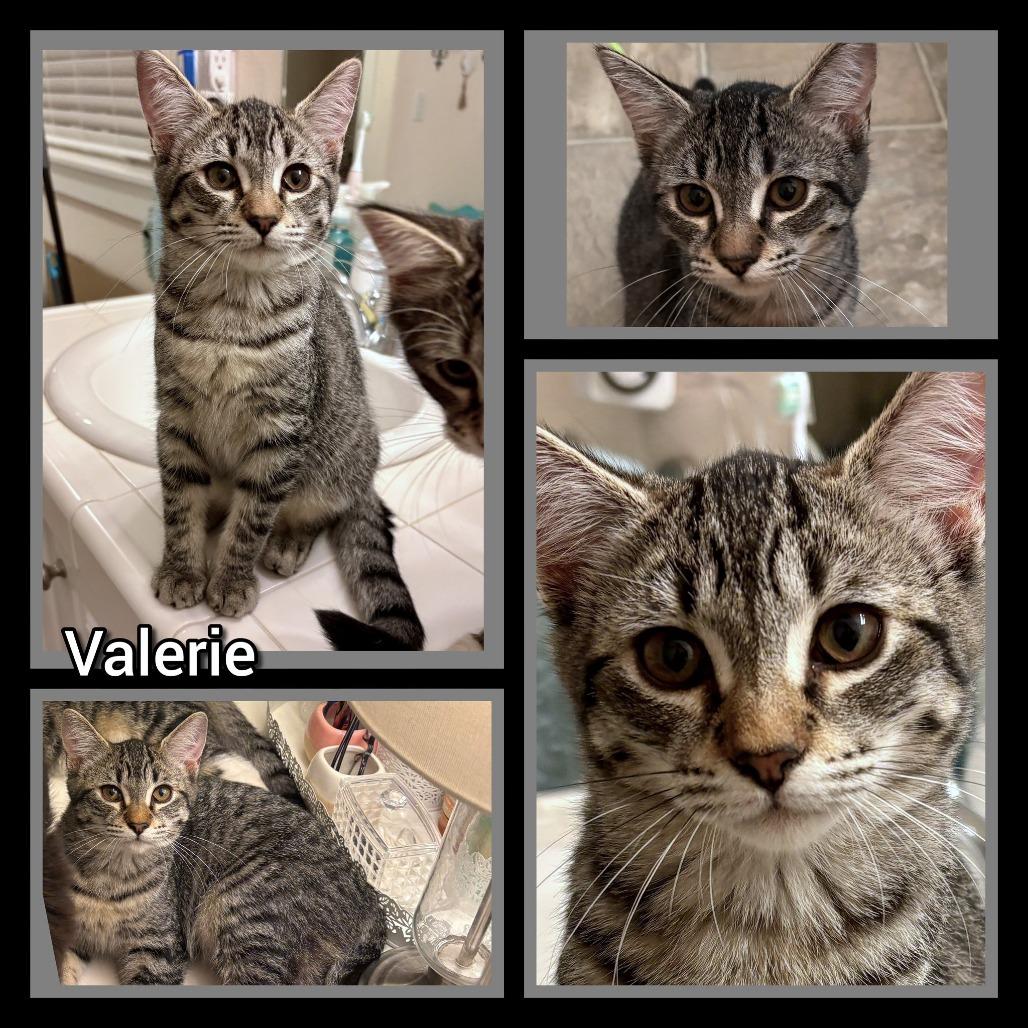 Valerie