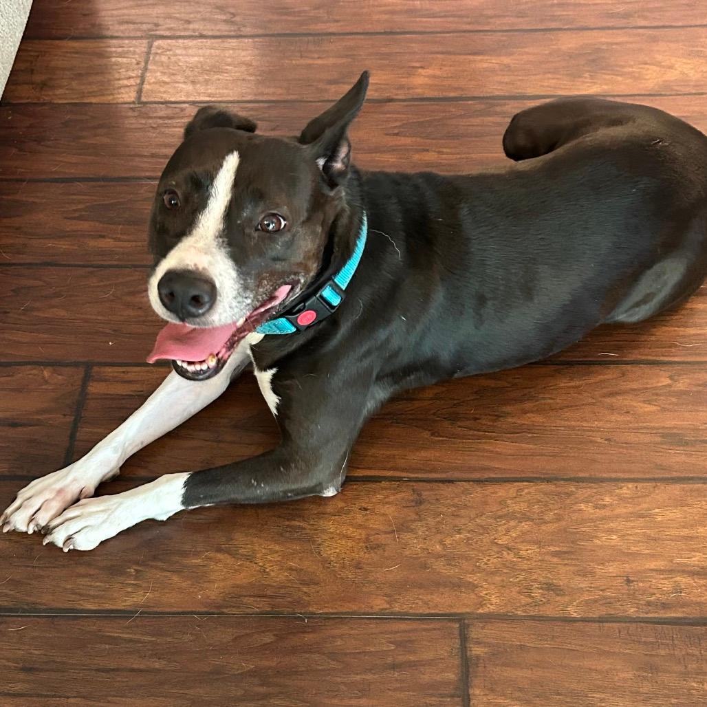 Tuna  - In Foster (Sponsored by Werner & Mimi Huh)