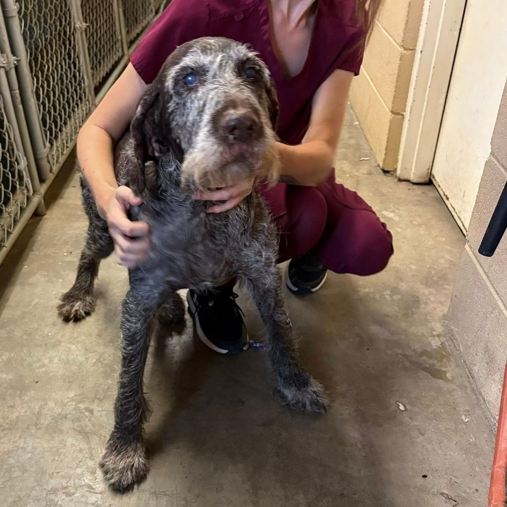 Sally NEEDS FOSTER (Sylvester, Georgia)
