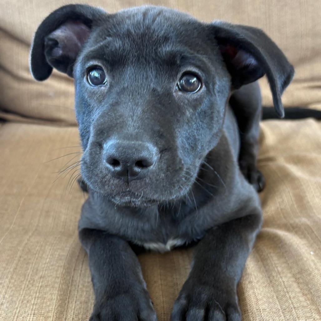 Skye