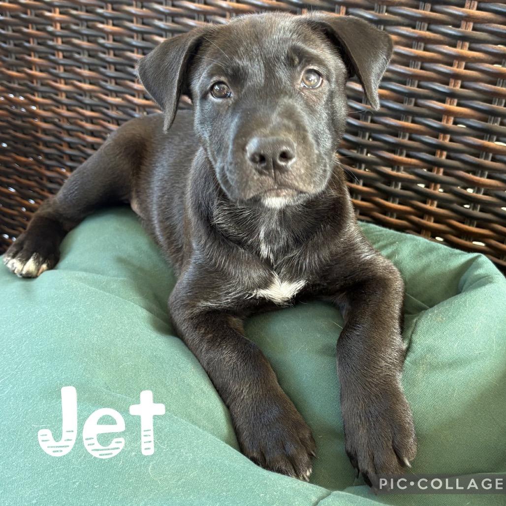 Jet