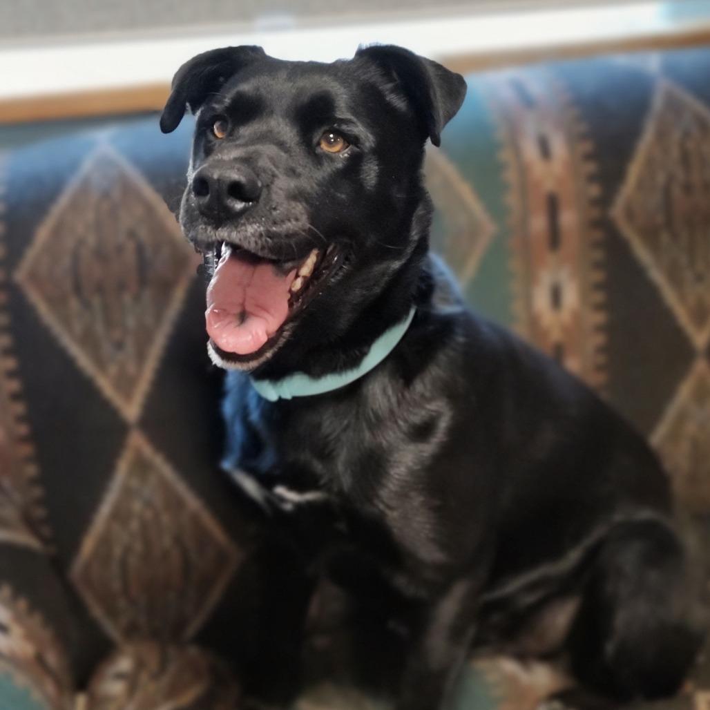 Duke