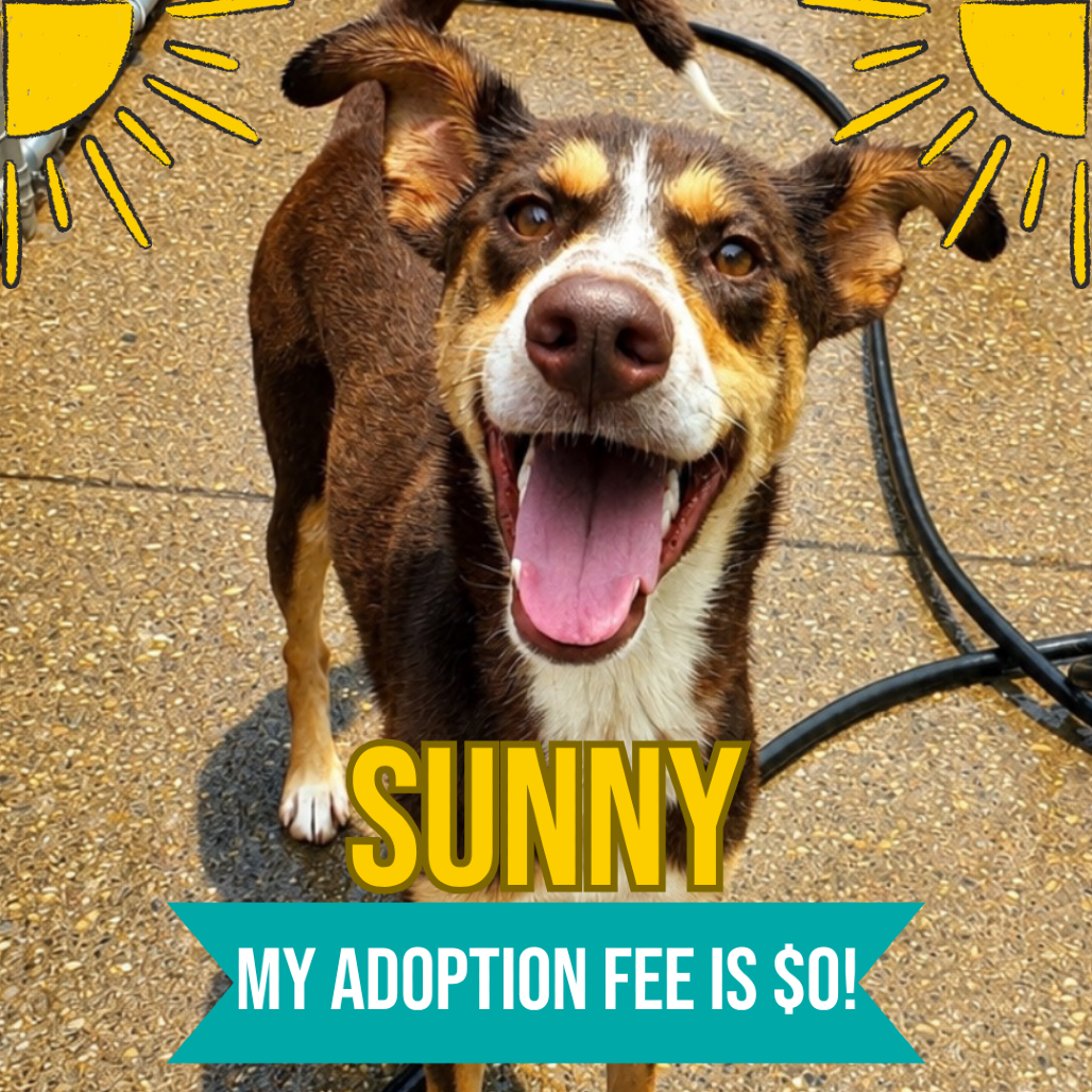 Sunny fka Athena 