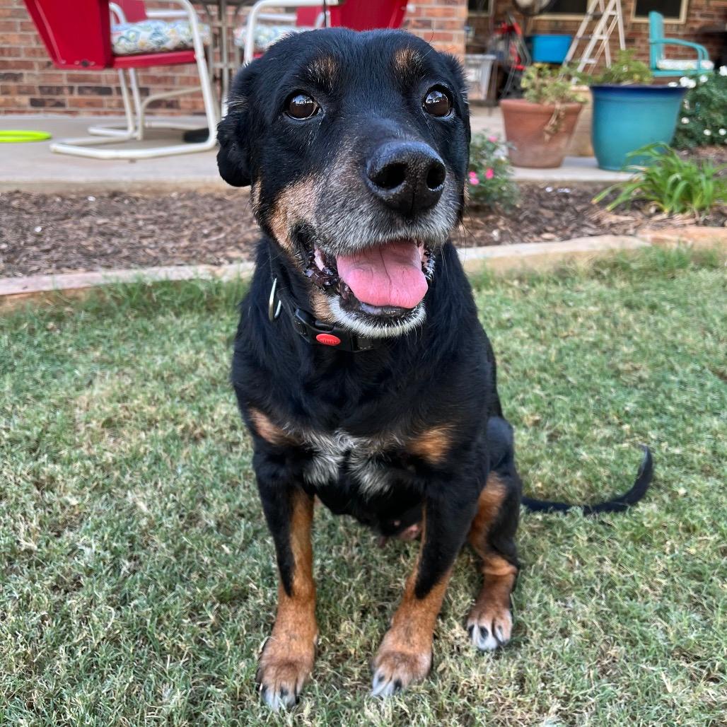 Georgie