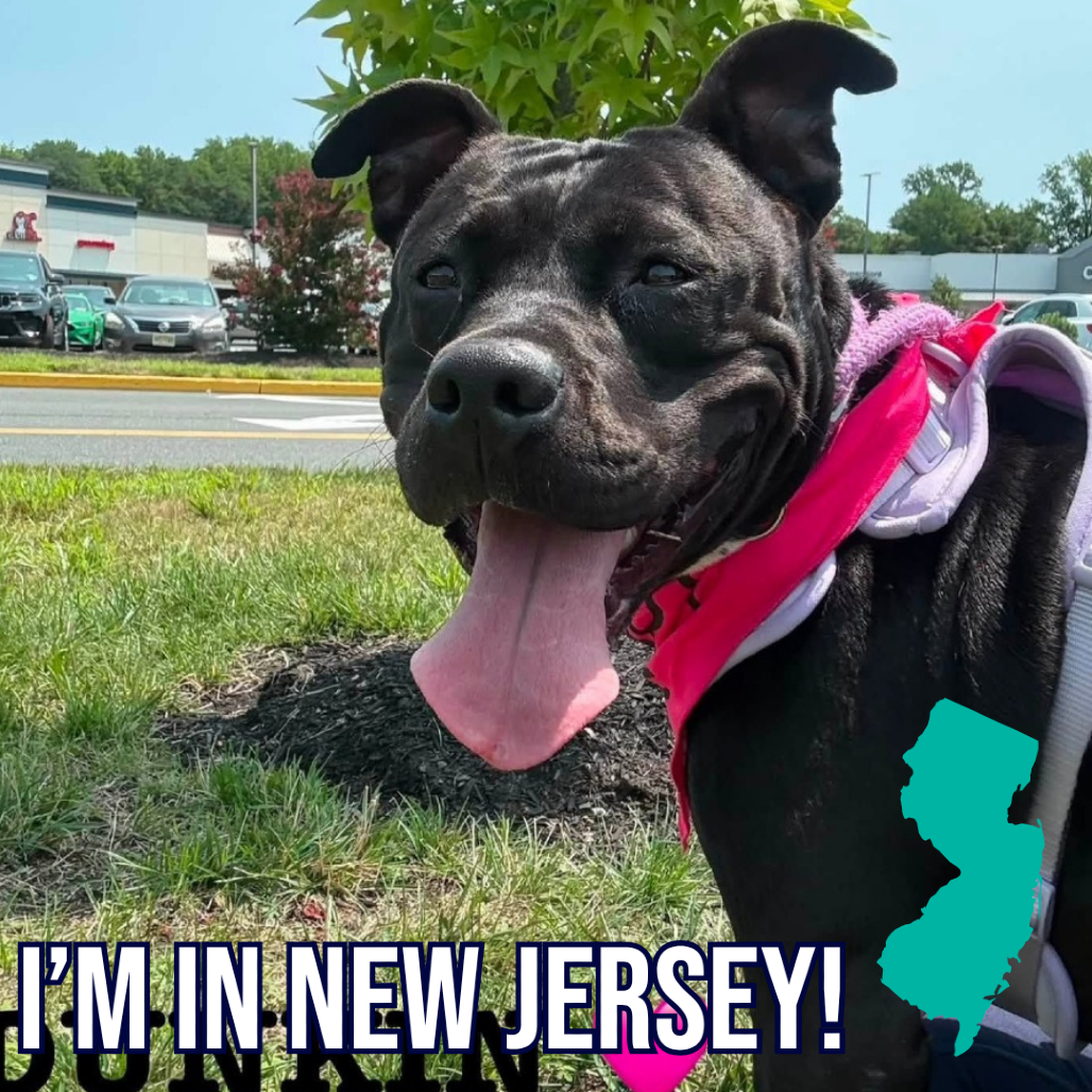 Dunkin aka Zeena