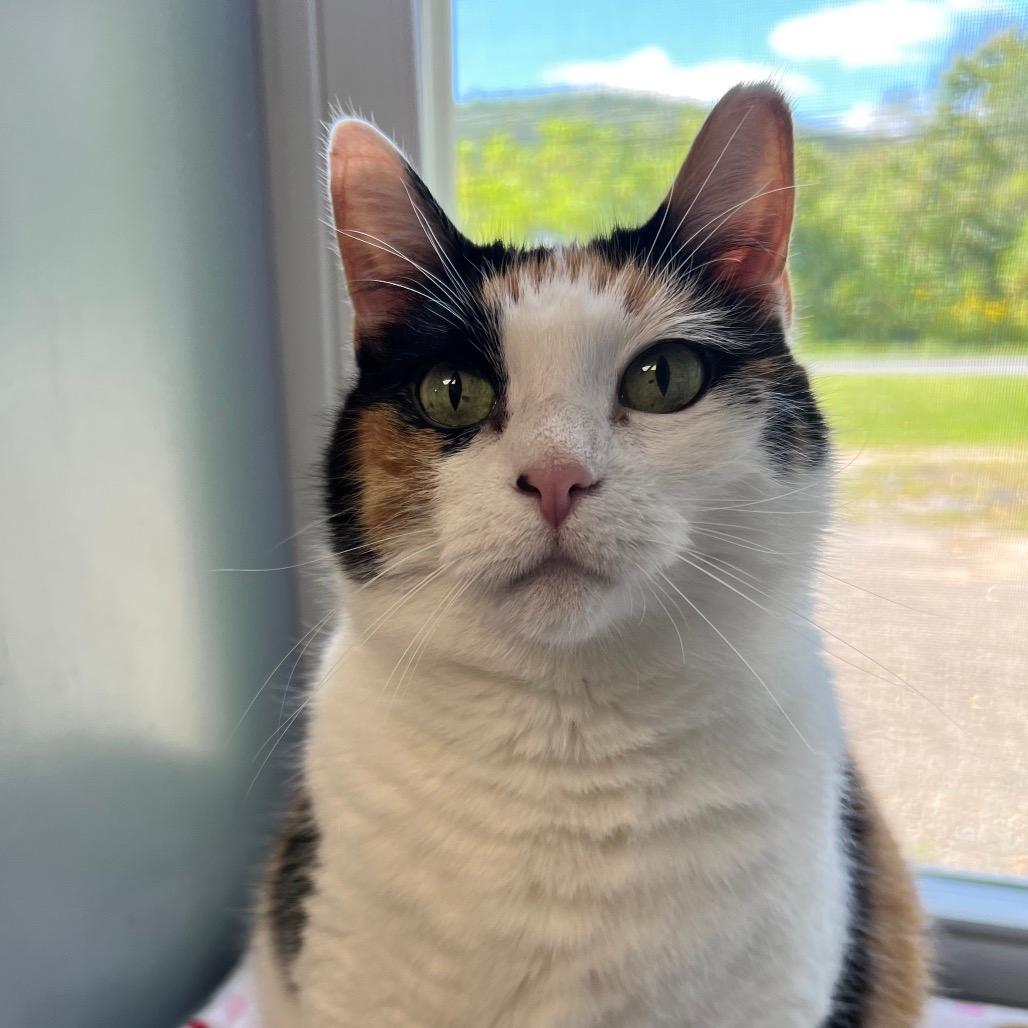 Kali