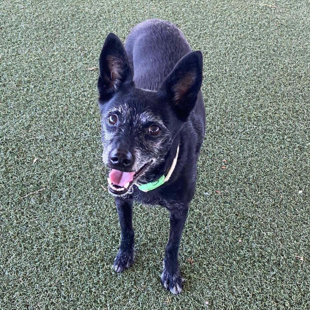 Bella