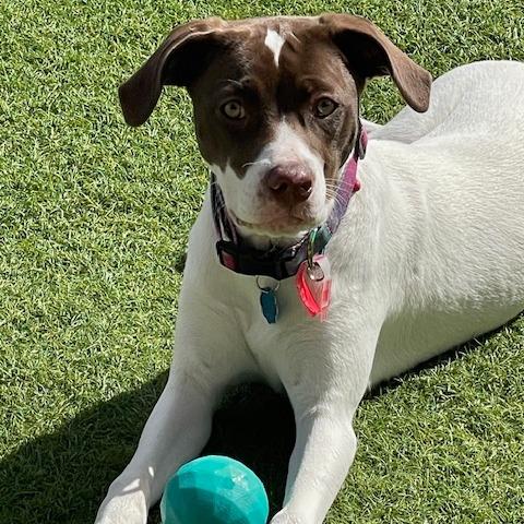 633 (2025) Lulu