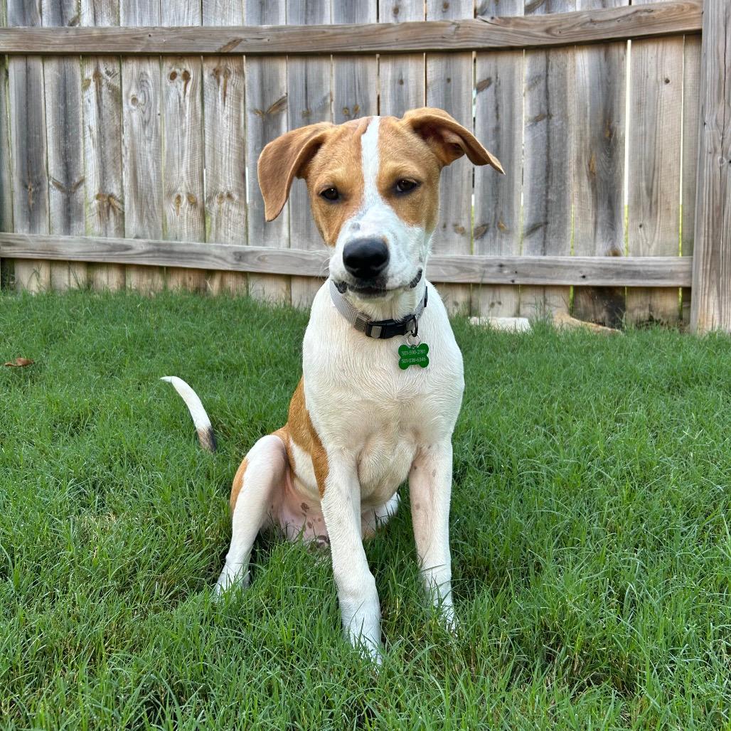 Jack 