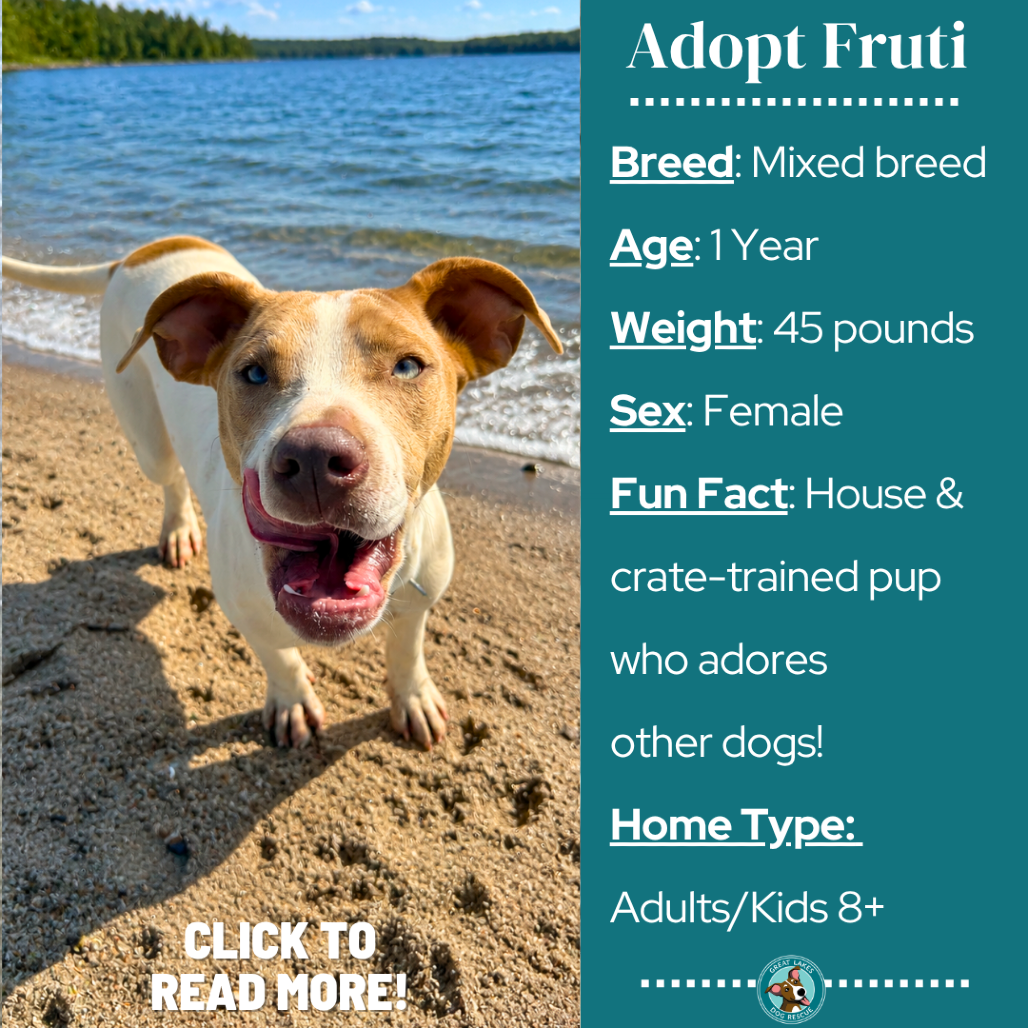 Fruti