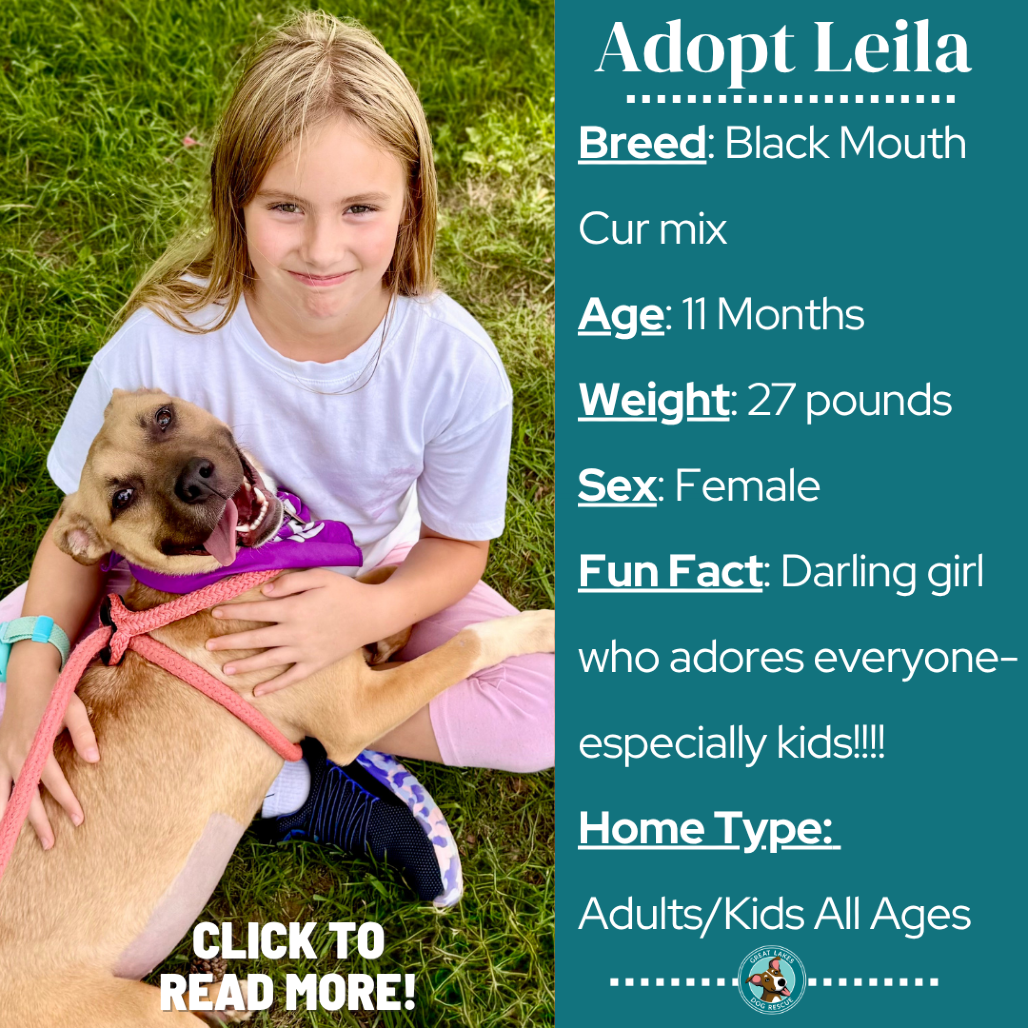 Leila
