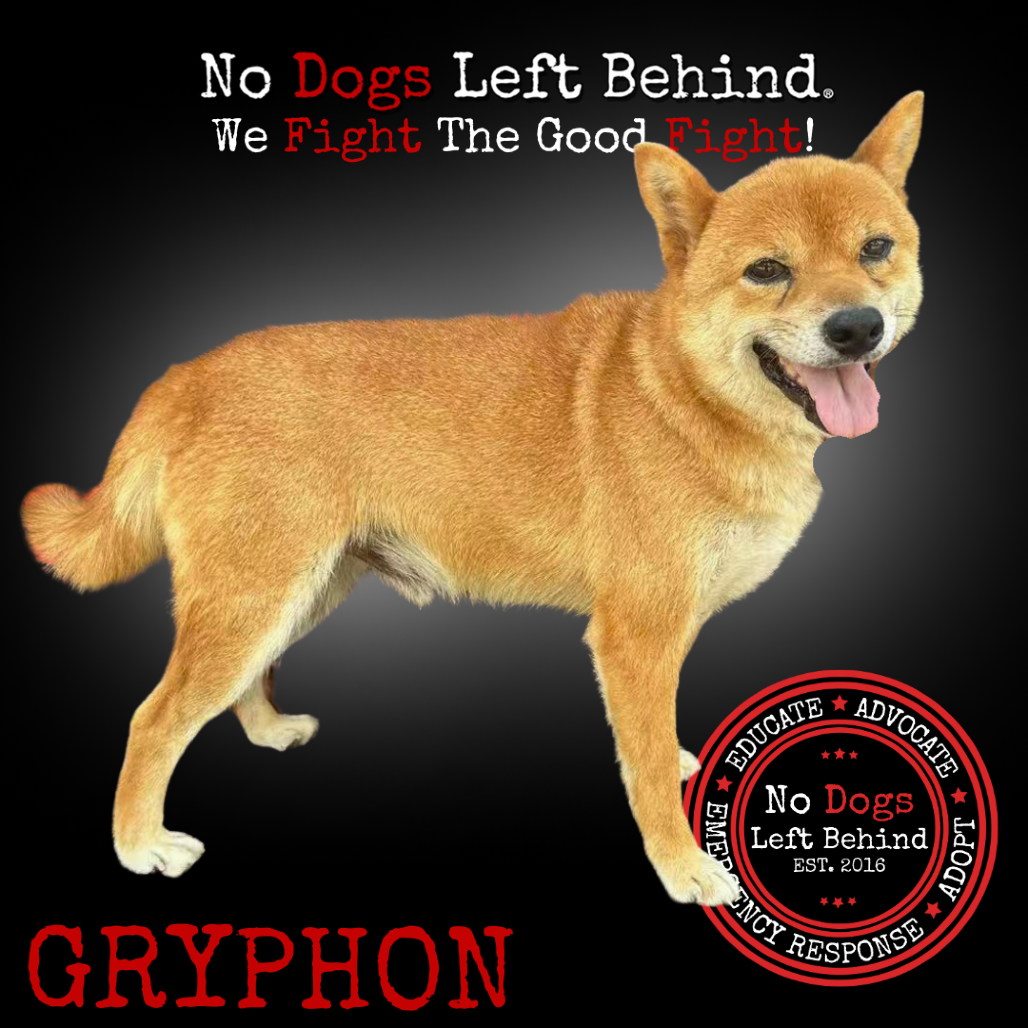 Gryphon 3833