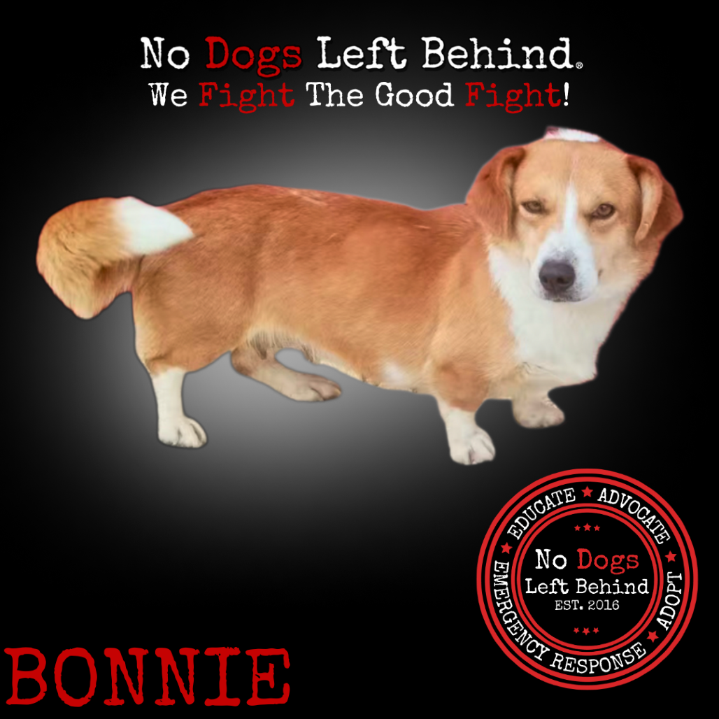 Bonnie 4116