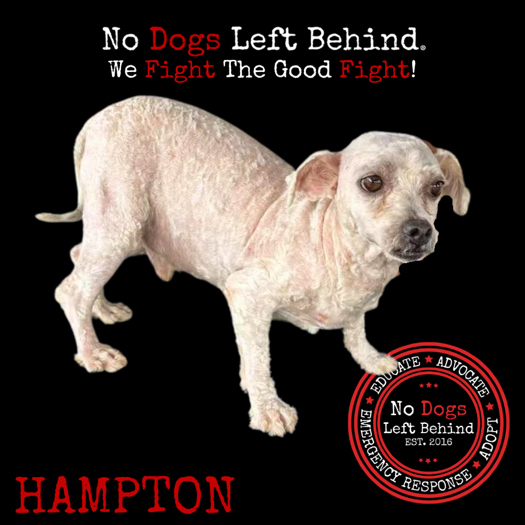 Hampton 4088