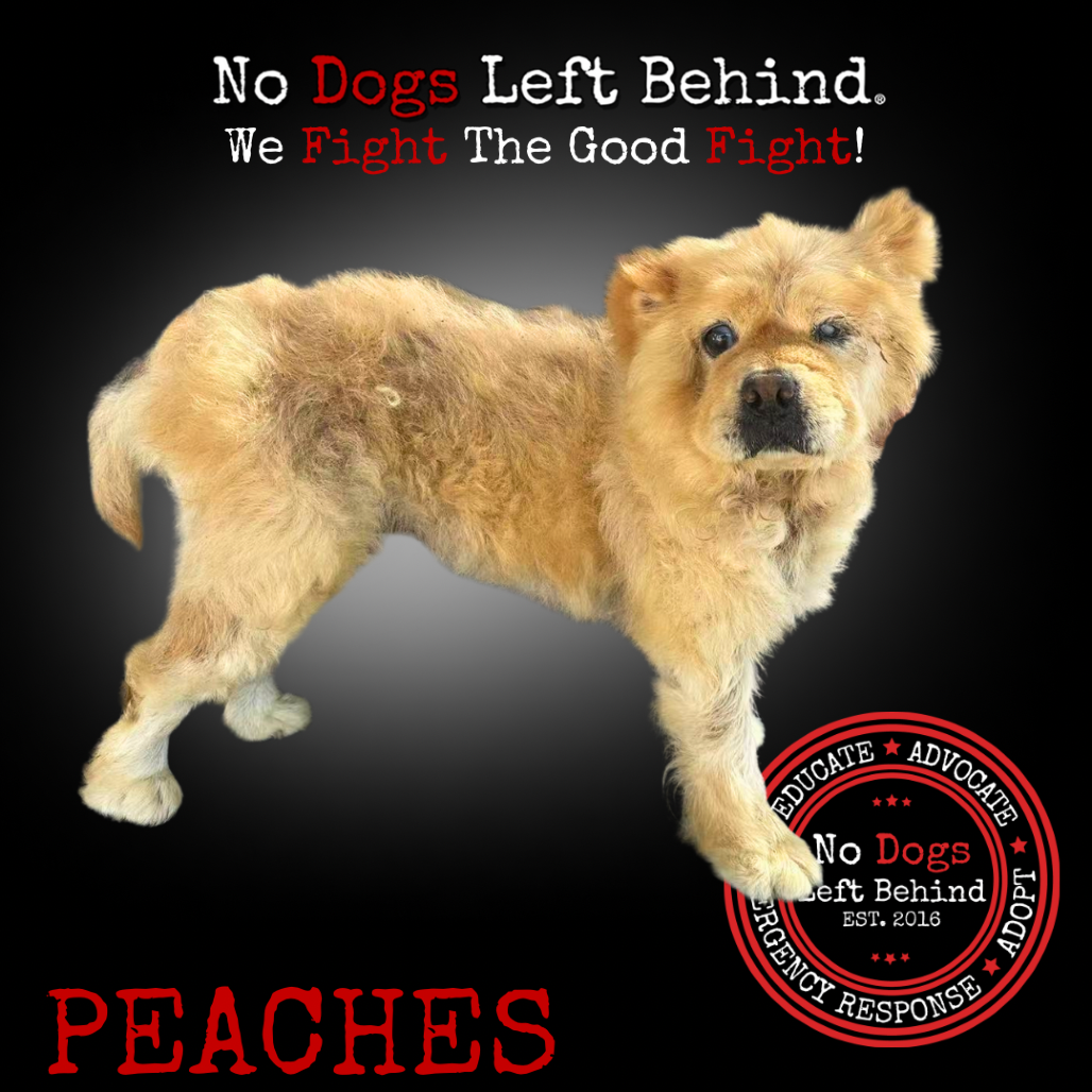 Peaches 3872